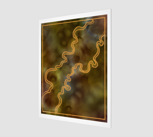 Affiche - Fungal Bubbles